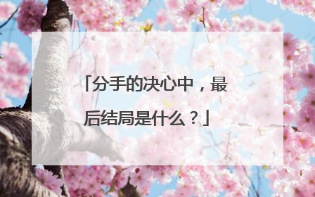 分手的决心中，最后结局是什么？