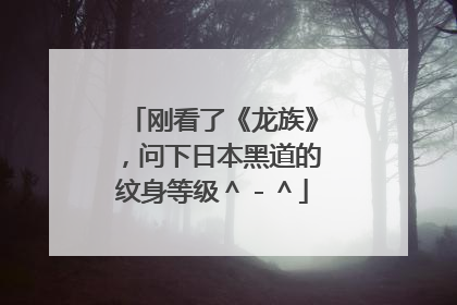 刚看了《龙族》，问下日本黑道的纹身等级＾－＾