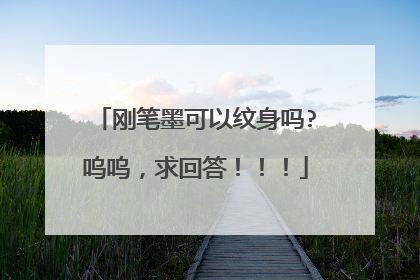 刚笔墨可以纹身吗?呜呜，求回答！！！