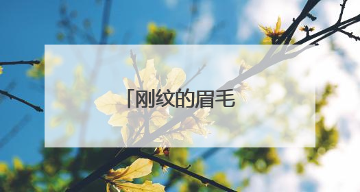 刚纹的眉毛可以洗掉吗