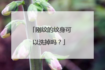 刚纹的纹身可以洗掉吗？