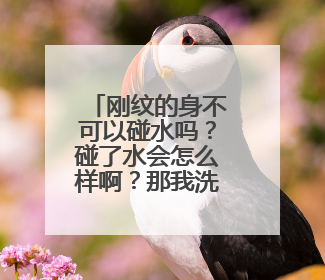 刚纹的身不可以碰水吗？碰了水会怎么样啊？那我洗澡洗衣服怎么办？？？？？？？