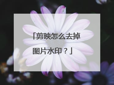 剪映怎么去掉图片水印？