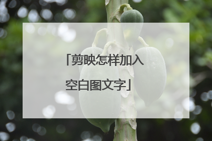 剪映怎样加入空白图文字