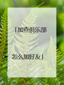 加查俱乐部怎么加好友