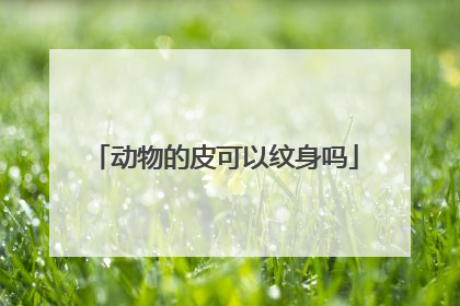 动物的皮可以纹身吗