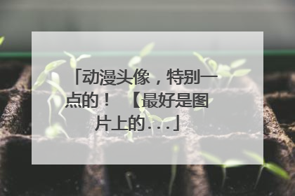 动漫头像，特别一点的！ 【最好是图片上的...