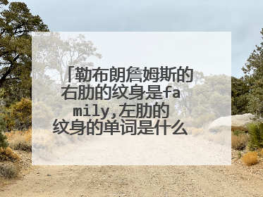 勒布朗詹姆斯的右肋的纹身是family,左肋的纹身的单词是什么，详细的？