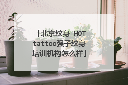 北京纹身 HOT tattoo强子纹身培训机构怎么样