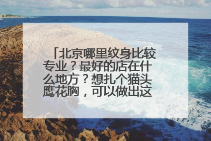 北京哪里纹身比较专业?最好的店在什么地方?想扎个猫头鹰花胸,可以做出这个效果吗?