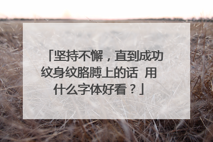 坚持不懈，直到成功纹身纹胳膊上的话 用什么字体好看？
