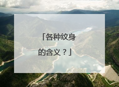 各种纹身的含义?