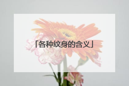 各种纹身的含义