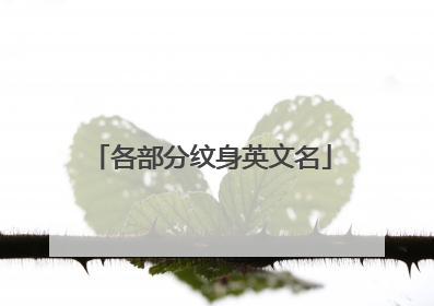 各部分纹身英文名