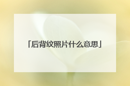 后背纹照片什么意思