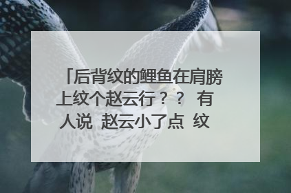 后背纹的鲤鱼在肩膀上纹个赵云行？？ 有人说 赵云小了点 纹个霸气的 行不行