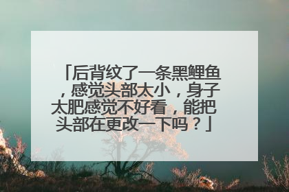 后背纹了一条黑鲤鱼，感觉头部太小，身子太肥感觉不好看，能把头部在更改一下吗？