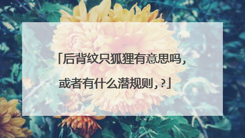 后背纹只狐狸有意思吗,或者有什么潜规则,?