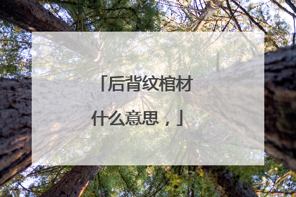 后背纹棺材什么意思，