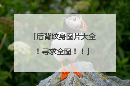 后背纹身图片大全!寻求全图!!