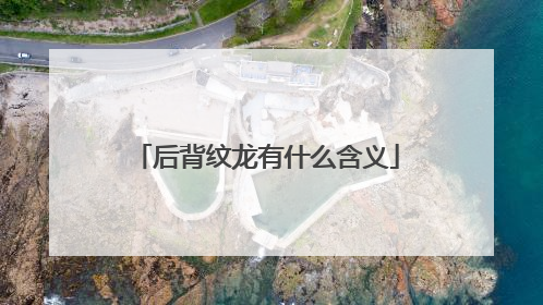 后背纹龙有什么含义