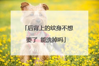 后背上的纹身不想要了 能洗掉吗