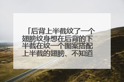 后背上半截纹了一个翅膀纹身想在后背的下半截在纹一个图案搭配上半截的翅膀、不知道搭配什么图案好一点