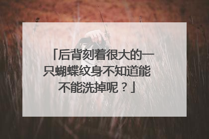 后背刻着很大的一只蝴蝶纹身不知道能不能洗掉呢？
