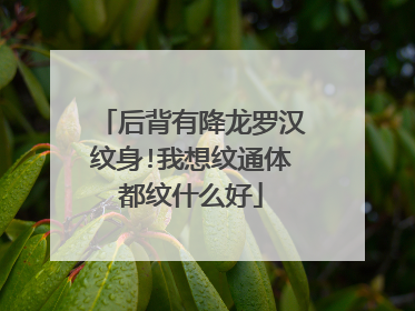 后背有降龙罗汉纹身!我想纹通体都纹什么好