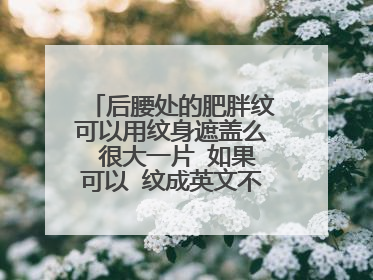 后腰处的肥胖纹可以用纹身遮盖么 很大一片 如果可以 纹成英文不是正好可以按照肥胖纹的纹理走么