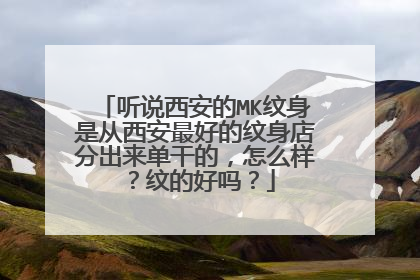 听说西安的MK纹身是从西安最好的纹身店分出来单干的，怎么样？纹的好吗？