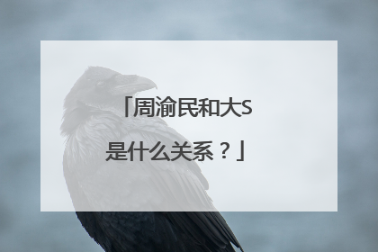 周渝民和大S是什么关系？