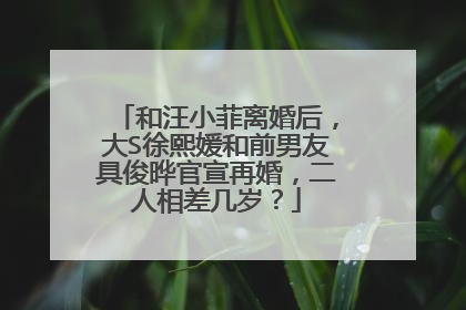 和汪小菲离婚后，大S徐熙媛和前男友具俊晔官宣再婚，二人相差几岁？