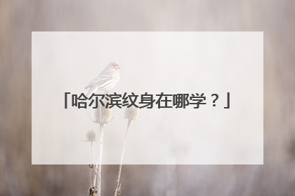 哈尔滨纹身在哪学？