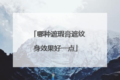 哪种遮瑕膏遮纹身效果好一点