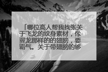 哪位高人帮我找张关于飞龙的纹身素材，像翼龙那样的的翅膀，要霸气。关于带翅膀的够酷，够霸气也行