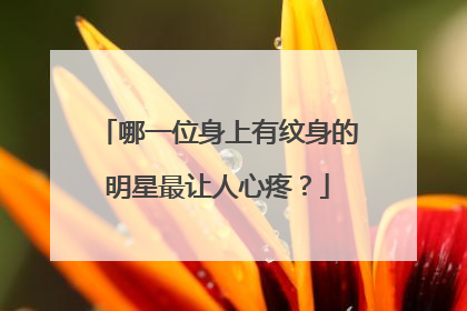 哪一位身上有纹身的明星最让人心疼？