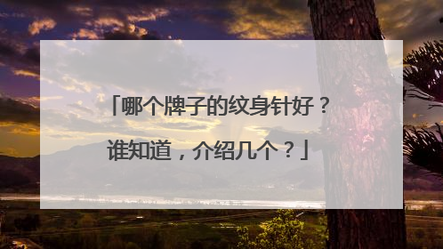 哪个牌子的纹身针好?谁知道,介绍几个?