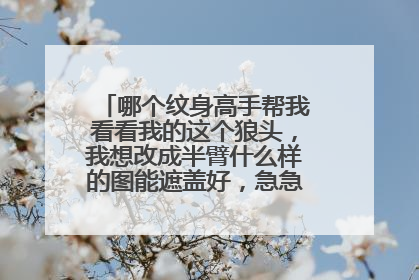 哪个纹身高手帮我看看我的这个狼头，我想改成半臂什么样的图能遮盖好，急急急…麻烦大家了！