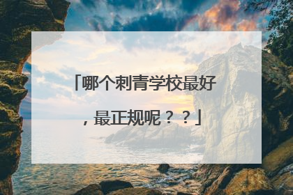 哪个刺青学校最好，最正规呢？？