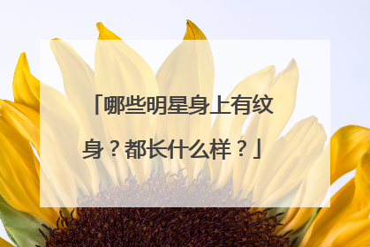哪些明星身上有纹身？都长什么样？