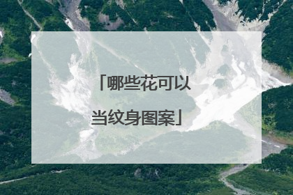 哪些花可以当纹身图案