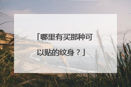 哪里有买那种可以贴的纹身？