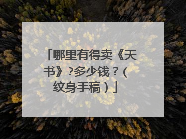 哪里有得卖《天书》?多少钱？(纹身手稿）