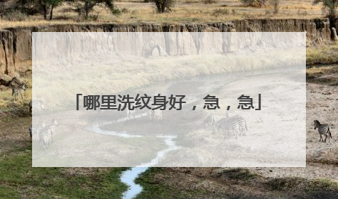 哪里洗纹身好,急,急