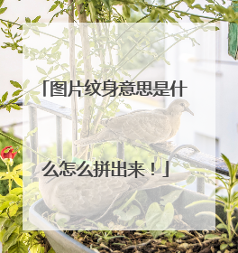 图片纹身意思是什么怎么拼出来！