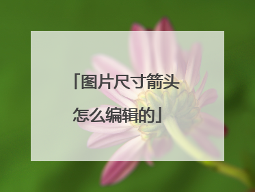 图片尺寸箭头怎么编辑的