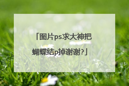 图片ps求大神把蝴蝶结p掉谢谢?