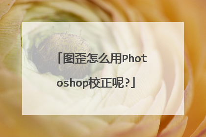 图歪怎么用Photoshop校正呢?