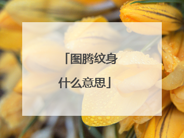 图腾纹身什么意思